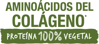Aminoácidos del Colágeno - Proteína 100% vegetal